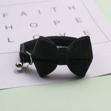 Cute Adjustable Cat Bow Bell Collar - Proshot Bazaar