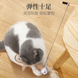 Cat Teaser Toys - Proshot Bazaar