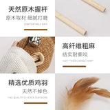 Cat Teaser Toys - Proshot Bazaar