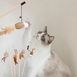 Cat Teaser Toys - Proshot Bazaar