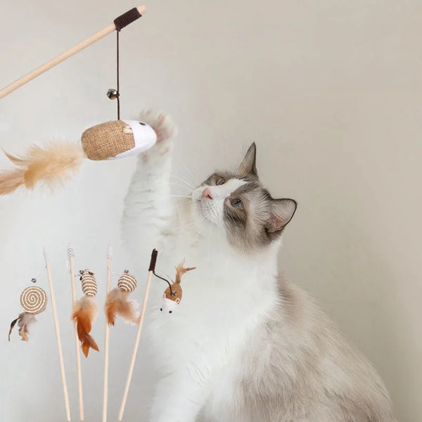 Cat Teaser Toys - Proshot Bazaar