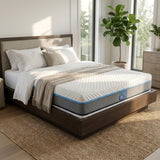 The Hard Bed Mattress - Proshot Bazaar