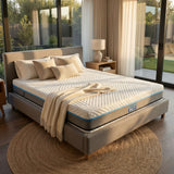 The Hard Bed Mattress - Proshot Bazaar