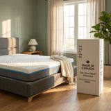 The Hard Bed Mattress - Proshot Bazaar