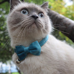 Cute Adjustable Cat Bow Bell Collar - Proshot Bazaar