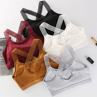 Women Sport Bra - Sports & Outdoor - Proshot Bazaar