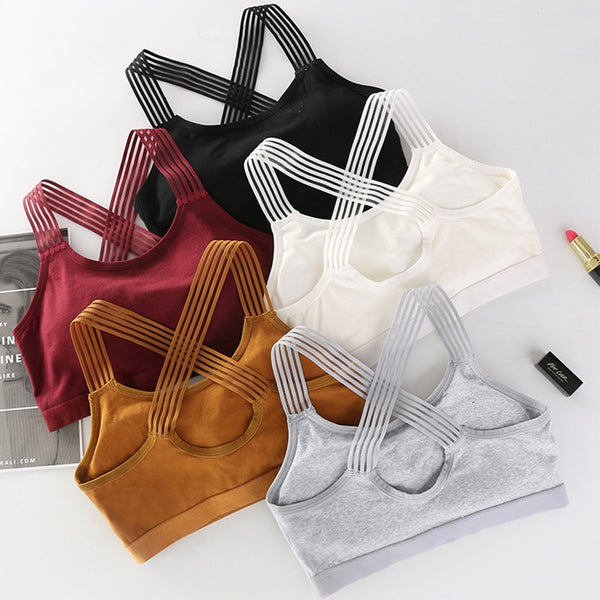 Women Sport Bra - Sports & Outdoor - Proshot Bazaar