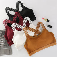 Women Sport Bra - Sports & Outdoor - Proshot Bazaar