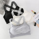 Women Sport Bra - Sports & Outdoor - Proshot Bazaar