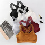 Women Sport Bra - Sports & Outdoor - Proshot Bazaar