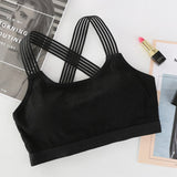 Women Sport Bra - Sports & Outdoor - Proshot Bazaar
