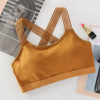 Women Sport Bra - Sports & Outdoor - Proshot Bazaar