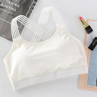 Women Sport Bra - Sports & Outdoor - Proshot Bazaar